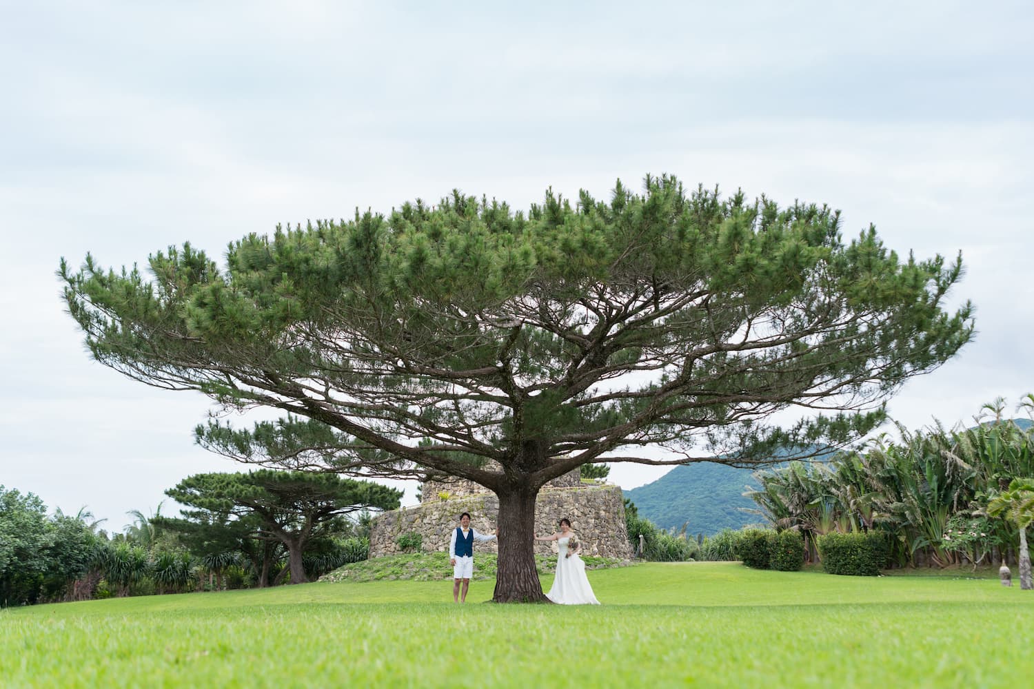 やいま村にある木の下に立つ新郎新婦