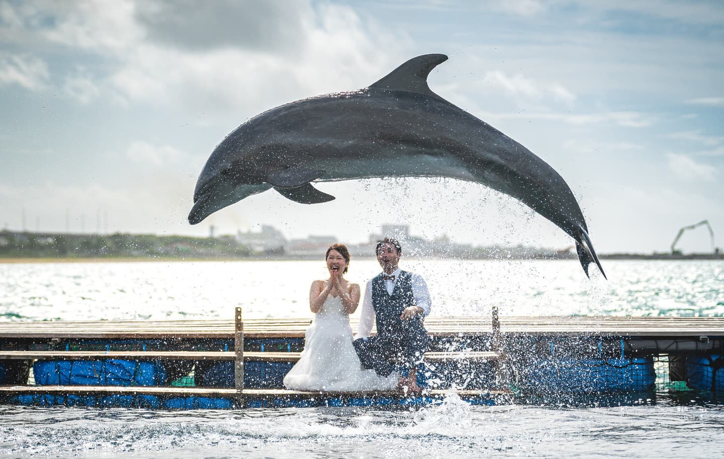 ジャンプするイルカを眺める新郎新婦