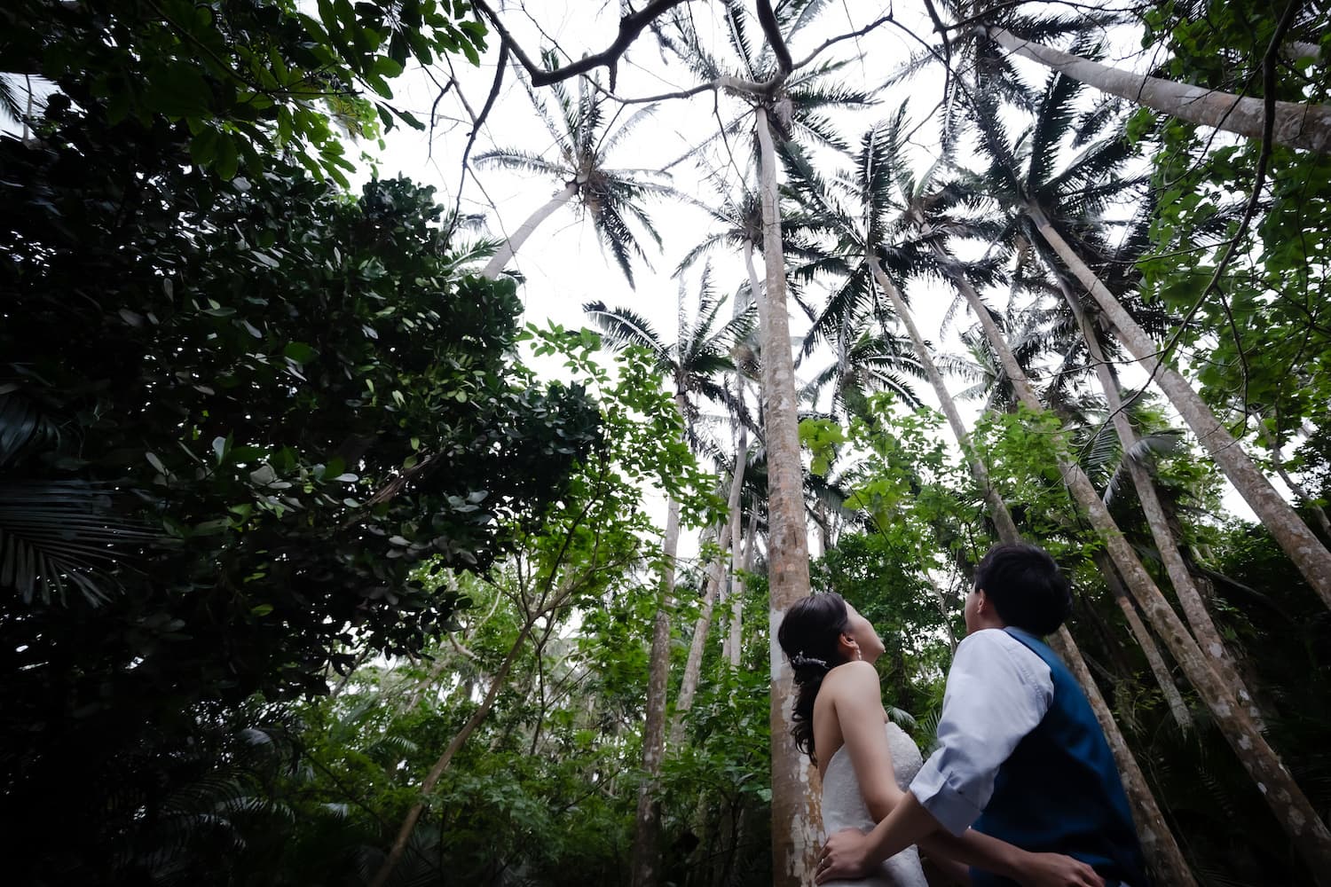 背の高い椰子の木を見上げる新郎新婦
