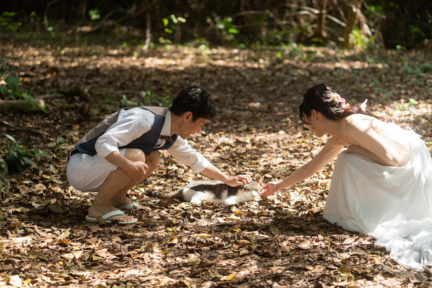 竹富島の野良猫と遊ぶ新郎新婦