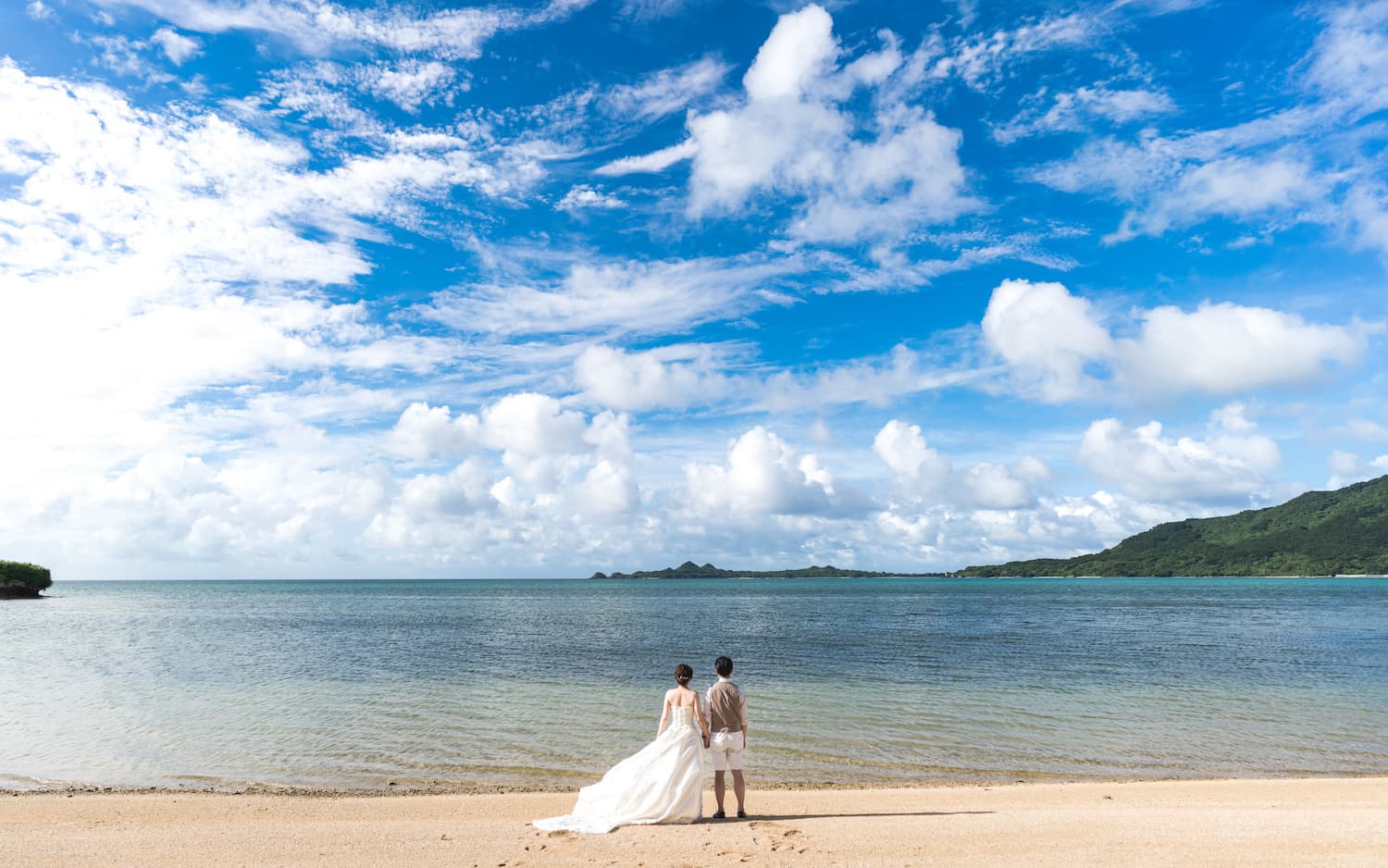 青空と海を眺める新郎新婦の後ろ姿