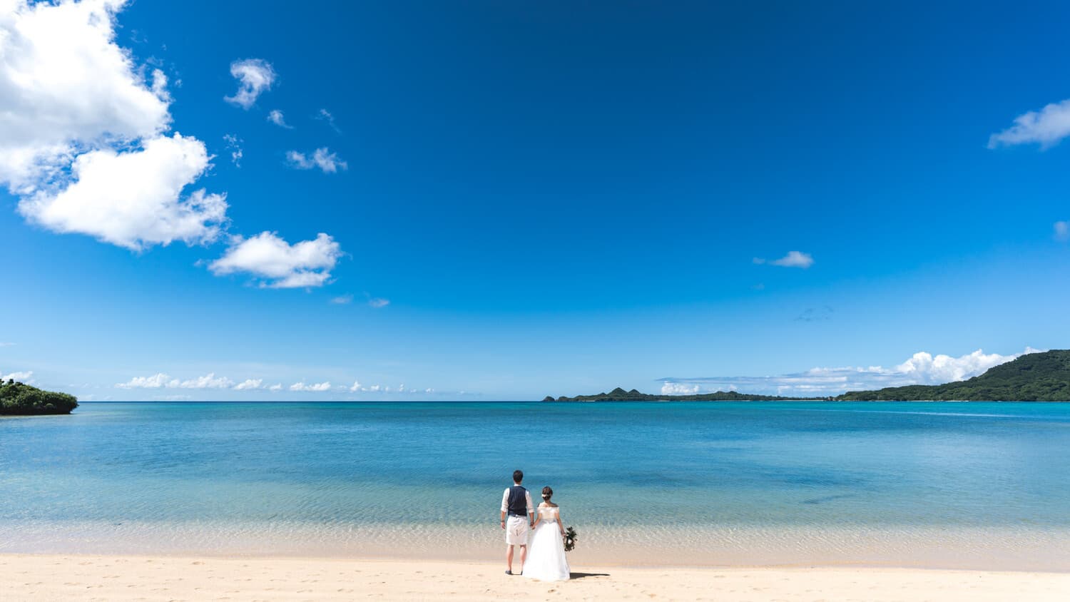 青空と青い海を眺める新郎新婦の後ろ姿