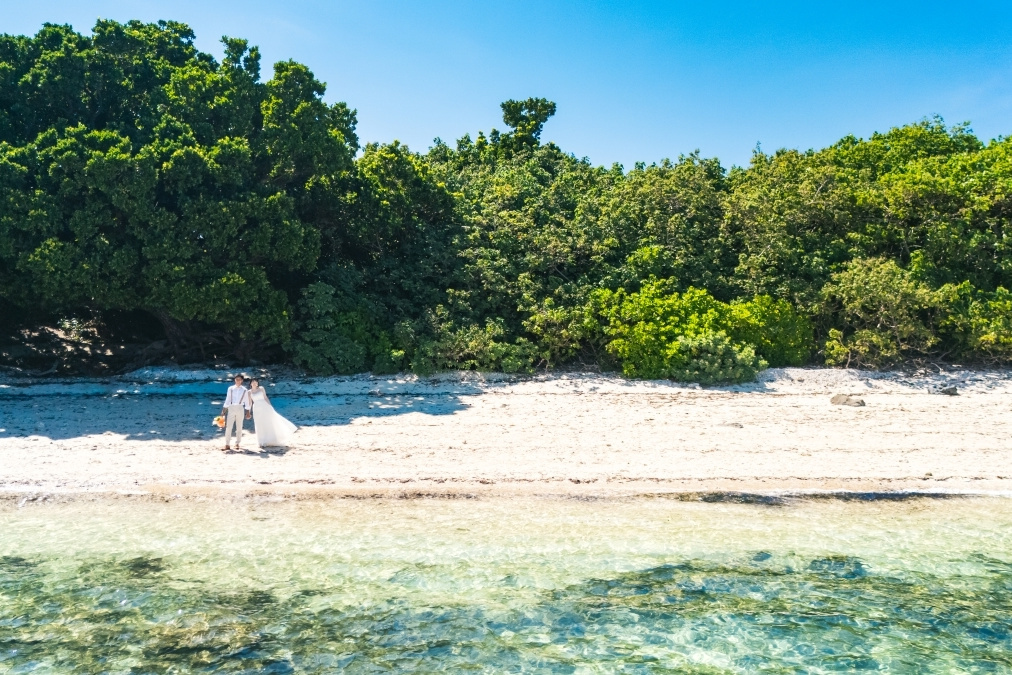 ビーチにある大きな木の下で抱き合う新郎新婦