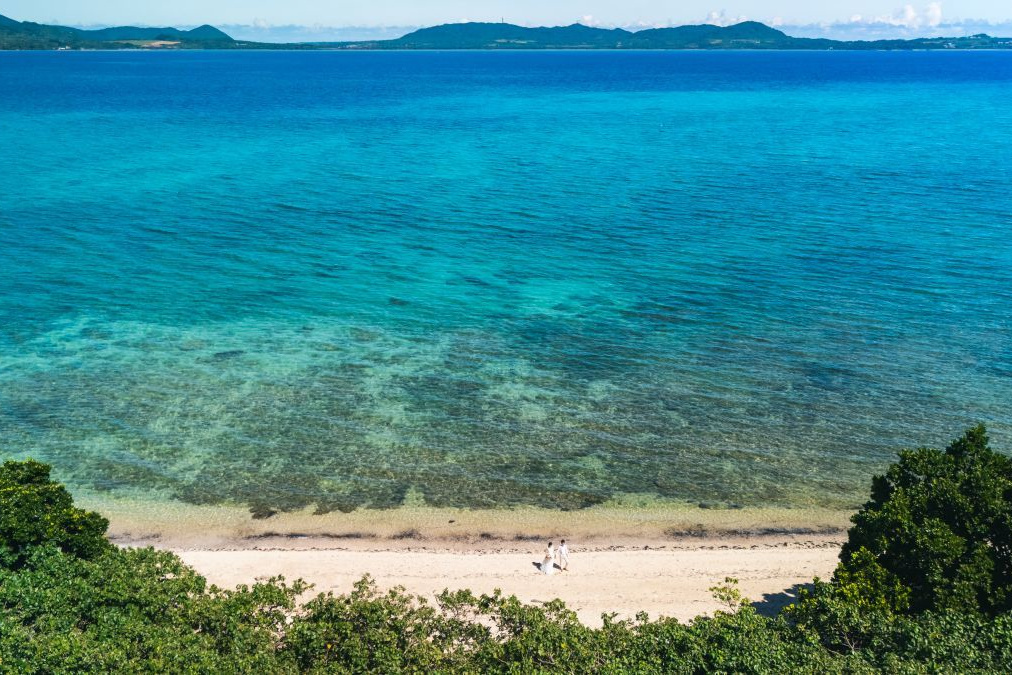 やいま村にある大きな木の下で立つ新郎新婦