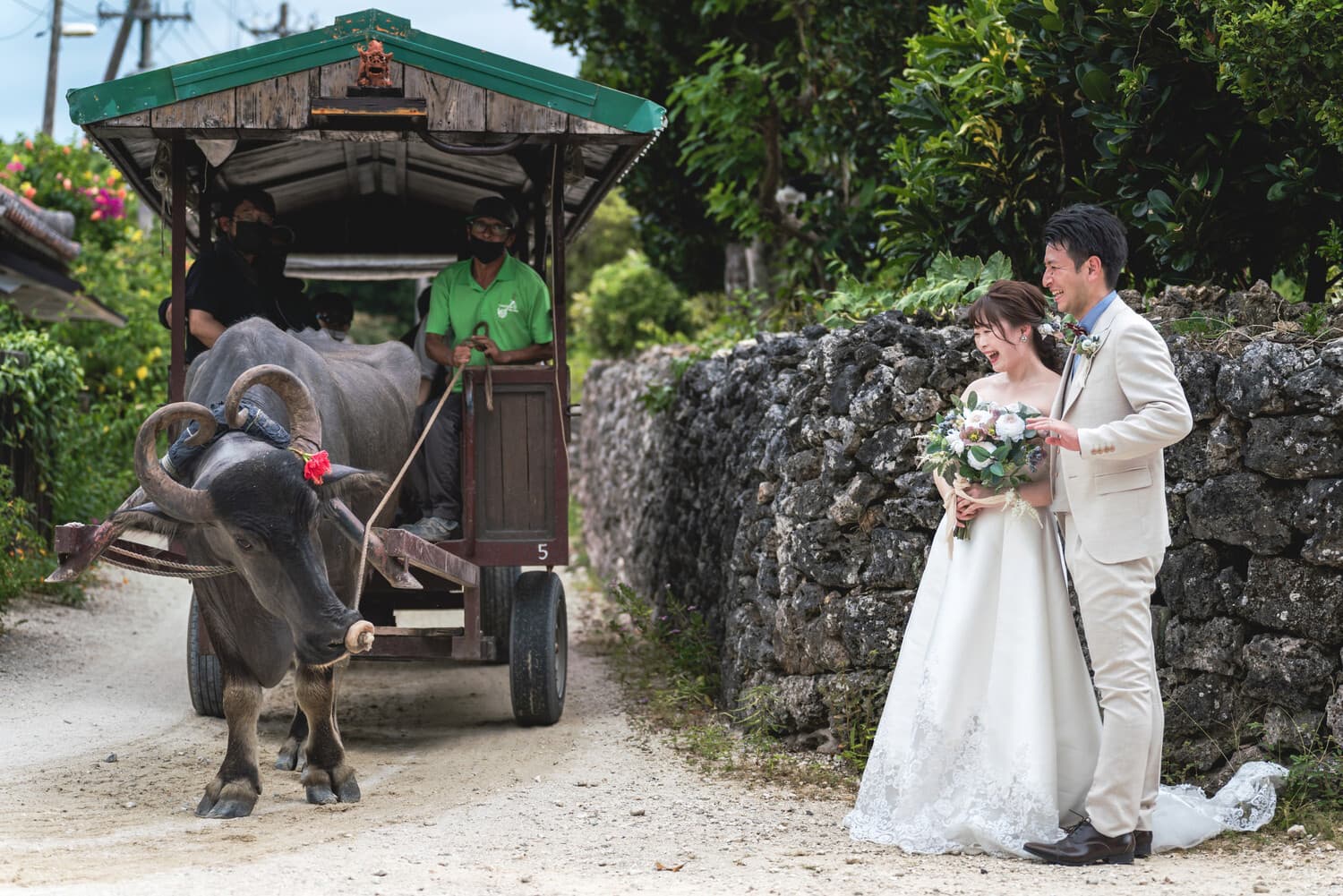 竹富島の水牛車と新郎新婦