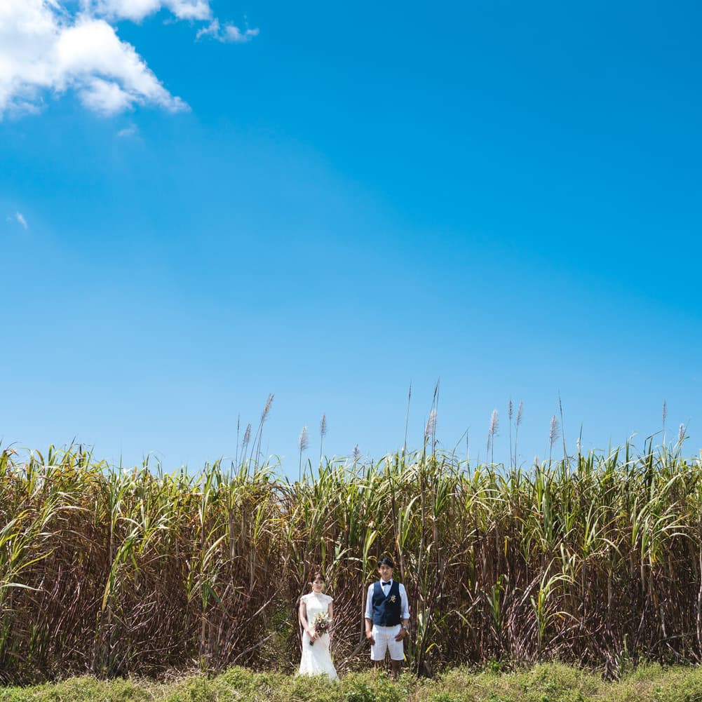 竹富島のさとうきび畑を背景に立つ新郎新婦