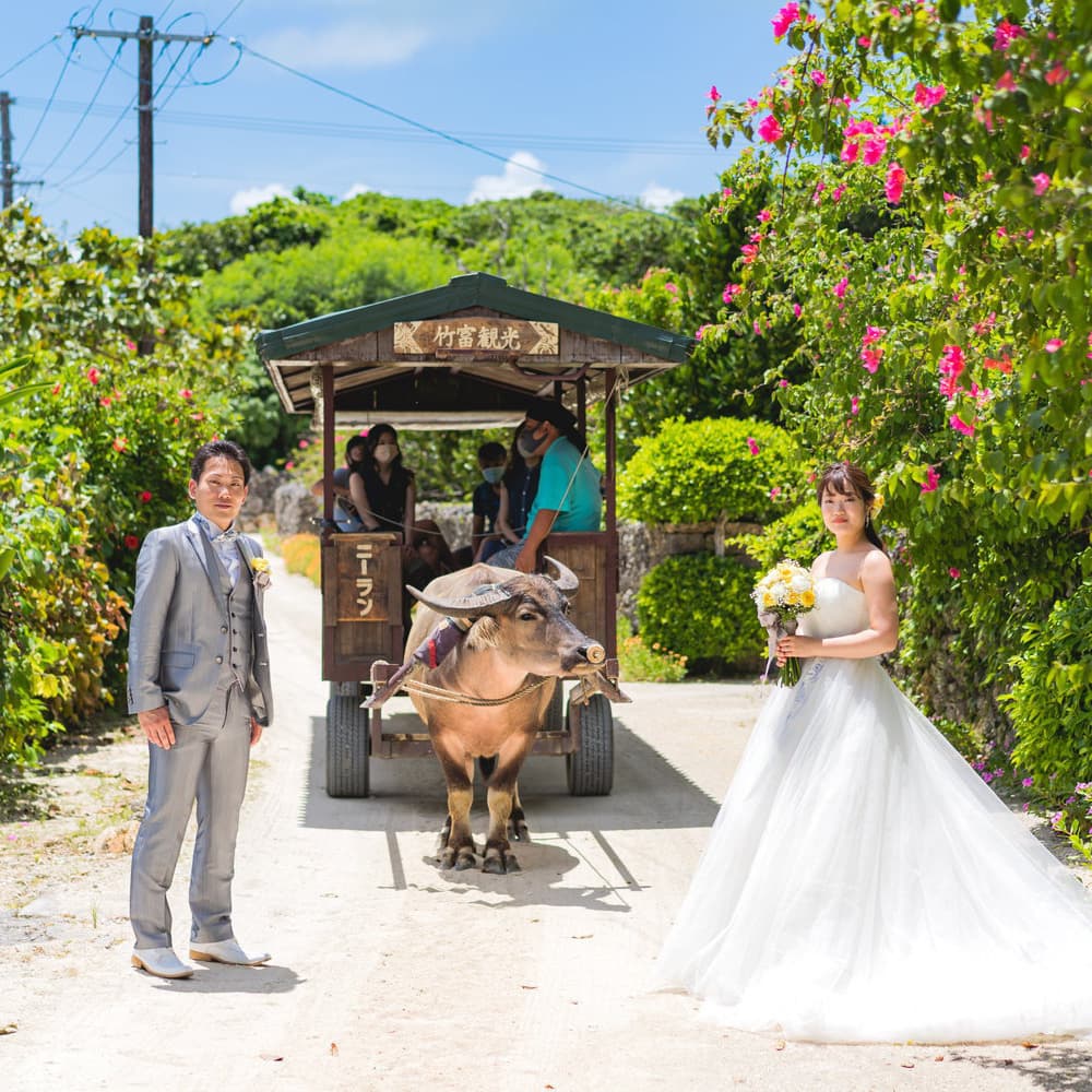 竹富島の水牛車と新郎新婦