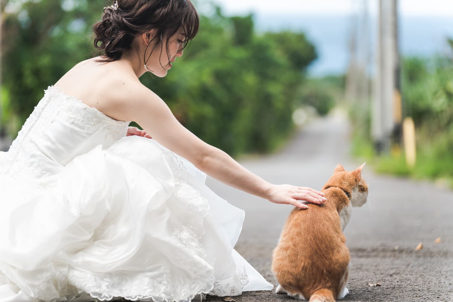 道路にいた猫を撫でる新婦