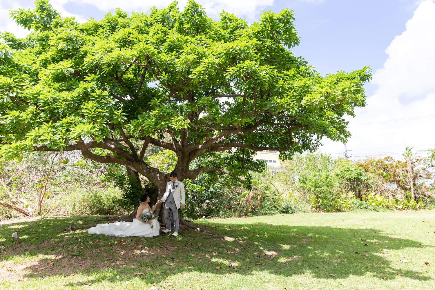 ガーデンにある木の下で新婦の手をとる新郎